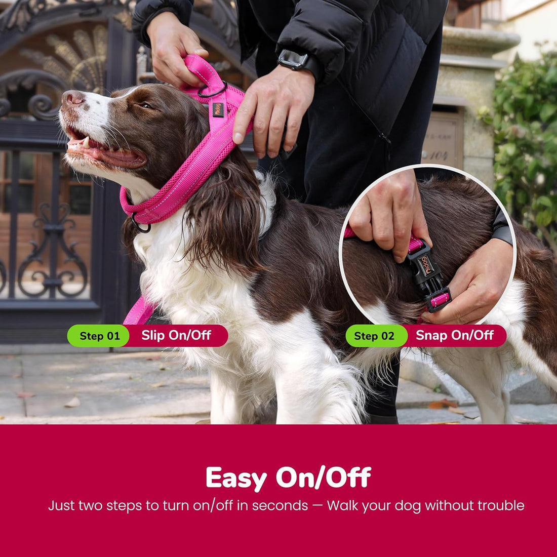 Didog No Pull Dog Harness for Small Dogs
