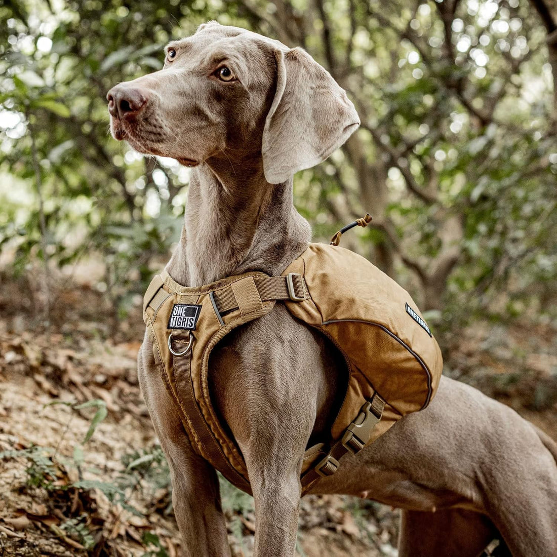ONETIGRIS Y-Shaped Dog Backpack No Pull CAMLUS Dog Saddle Bag