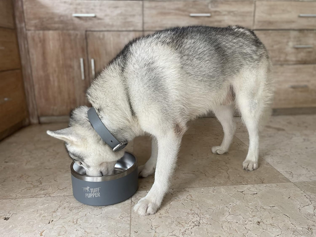 Tuff Pupper 100 oz Heavy Duty Insulated Stainless Steel Dog Bowl