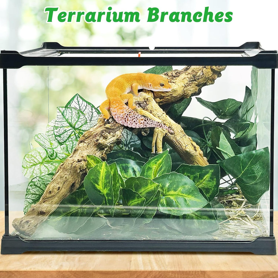 Reptile Branch Decor, Snake Climbing Wood Branches, Terrarium Logs