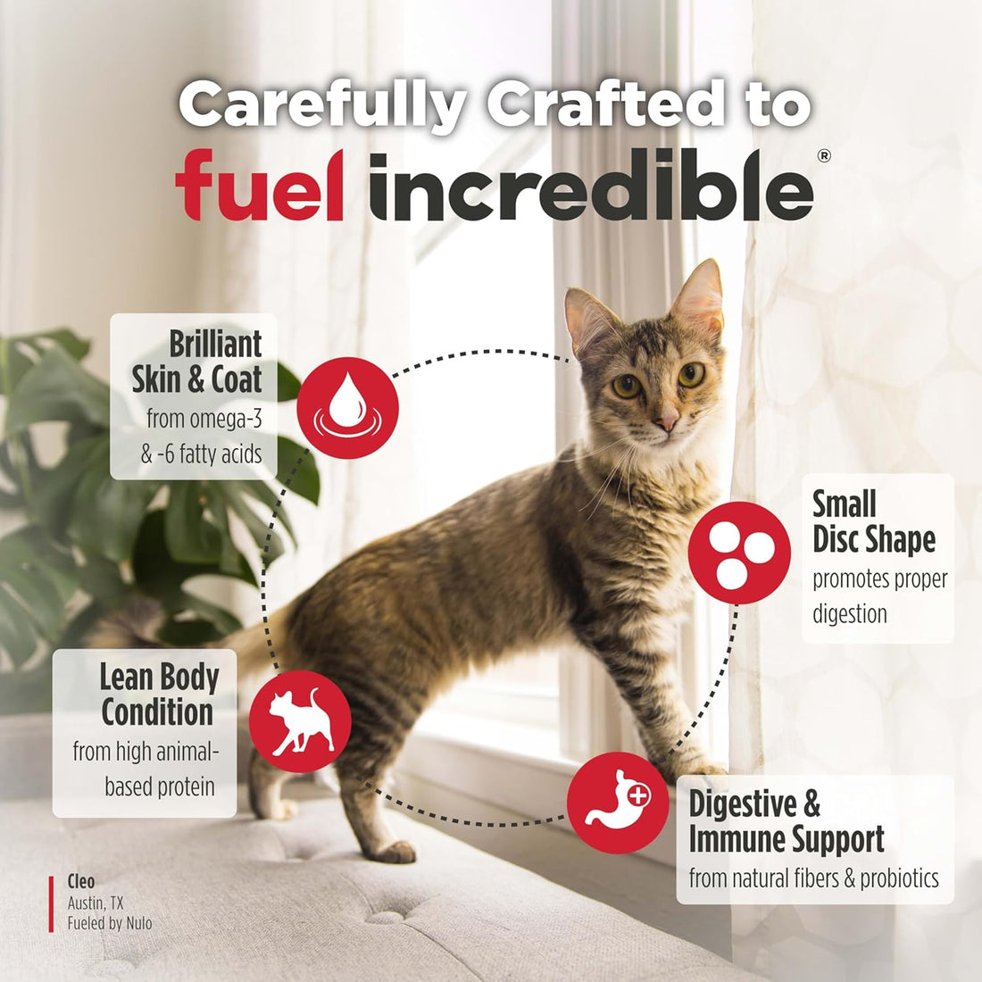 Nulo Freestyle Senior Grain-Free Dry Cat Food, Pollock & Sweet Potato