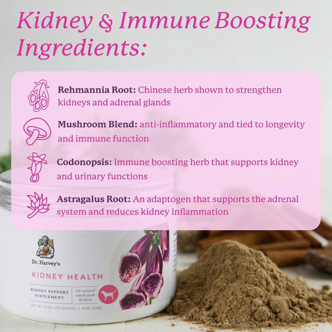 Dr. Harvey's Kidney Health Kidney Support Supplement for Dogs
