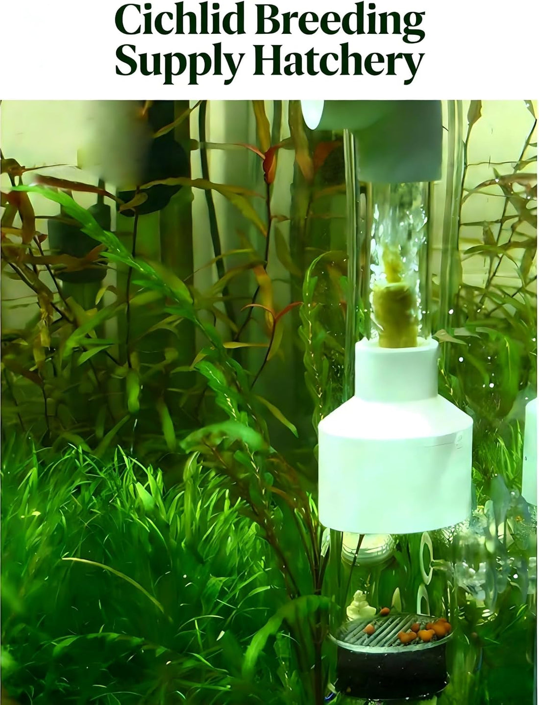 Egg Incubator Tumbler, 50mm Fish Hatchery for Cichlid Breeding