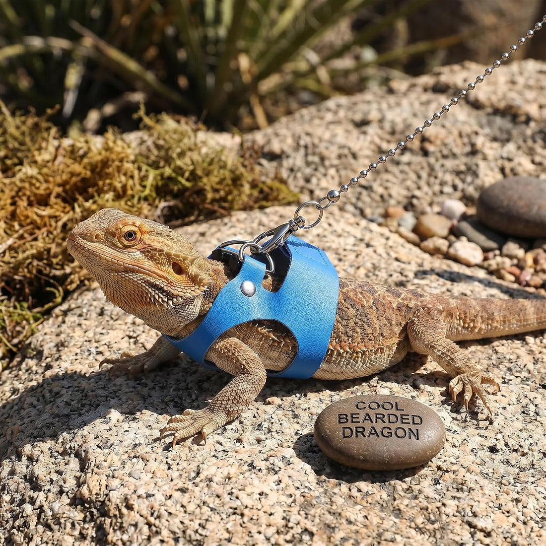 3 Pcs Bearded Dragon Leash and Harness Set 3 Sizes Lizard Harness