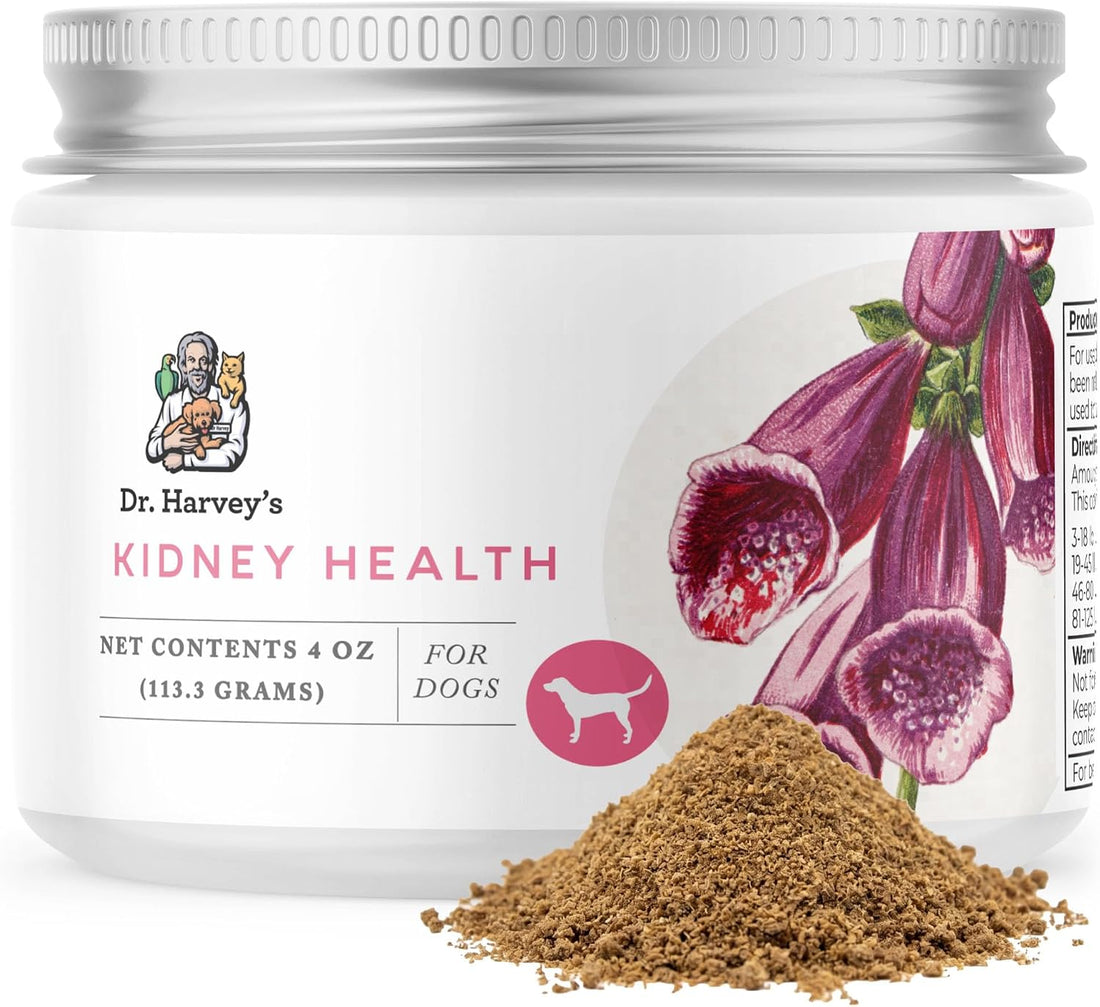 Dr. Harvey's Kidney Health Kidney Support Supplement for Dogs
