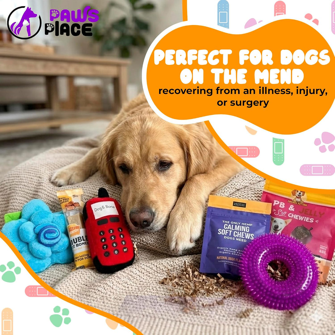 Get Well Soon Dog Gifts, Dog Care Package