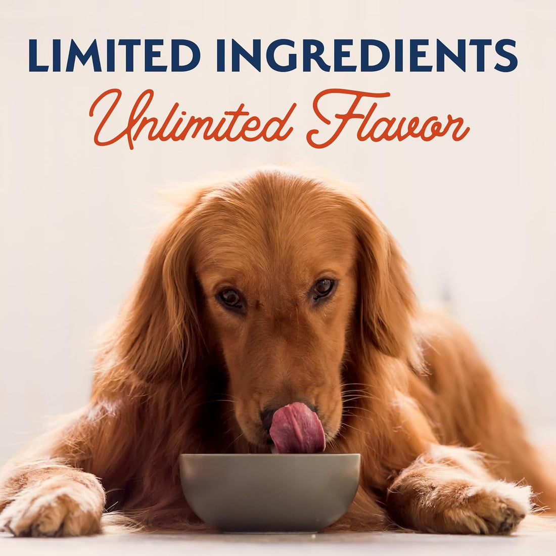 Natural Balance Limited Ingredient Grain-Free Wet Canned Dog Food