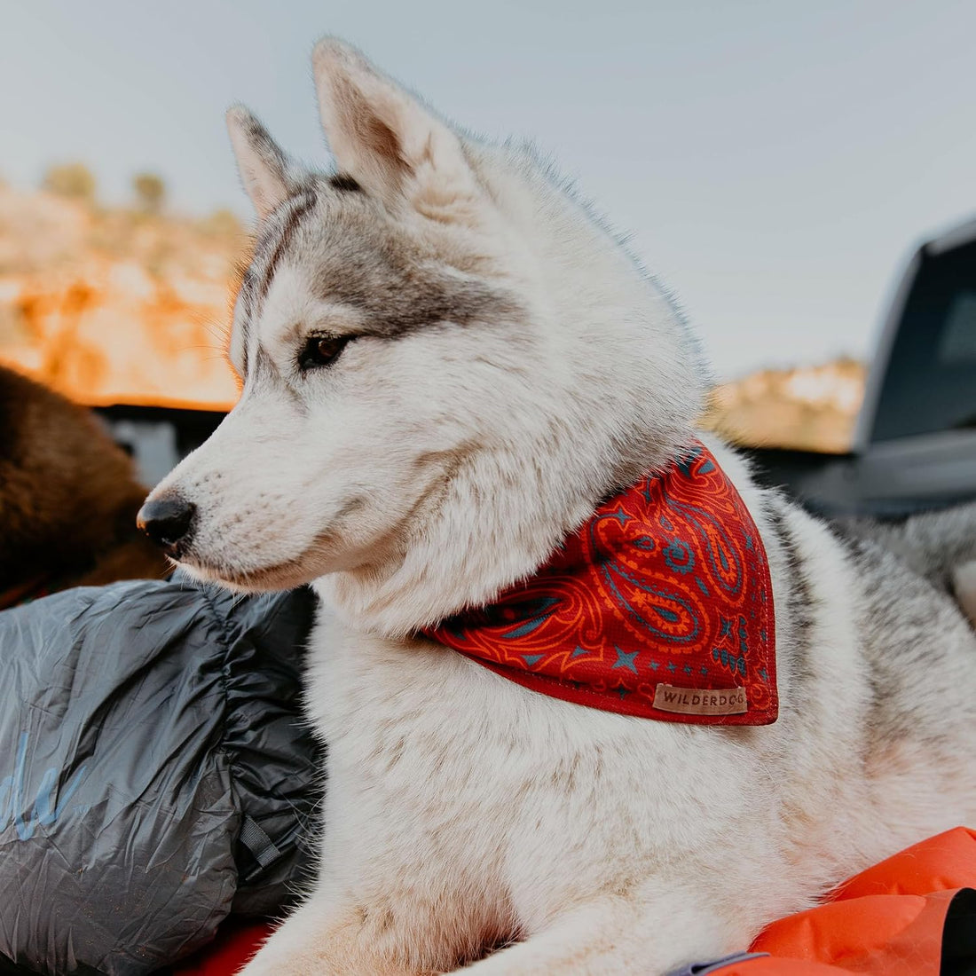 Wilderdog Dog Bandana with Lightweight Quick Drying Poly-Blend Mesh