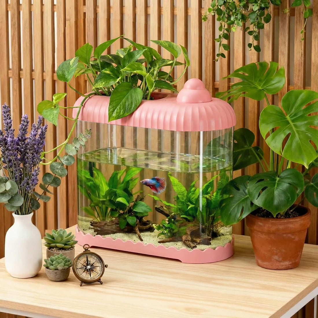 Geelin Pink 2 Gallon Plastic Fish Tank Shatterproof Betta Aquarium