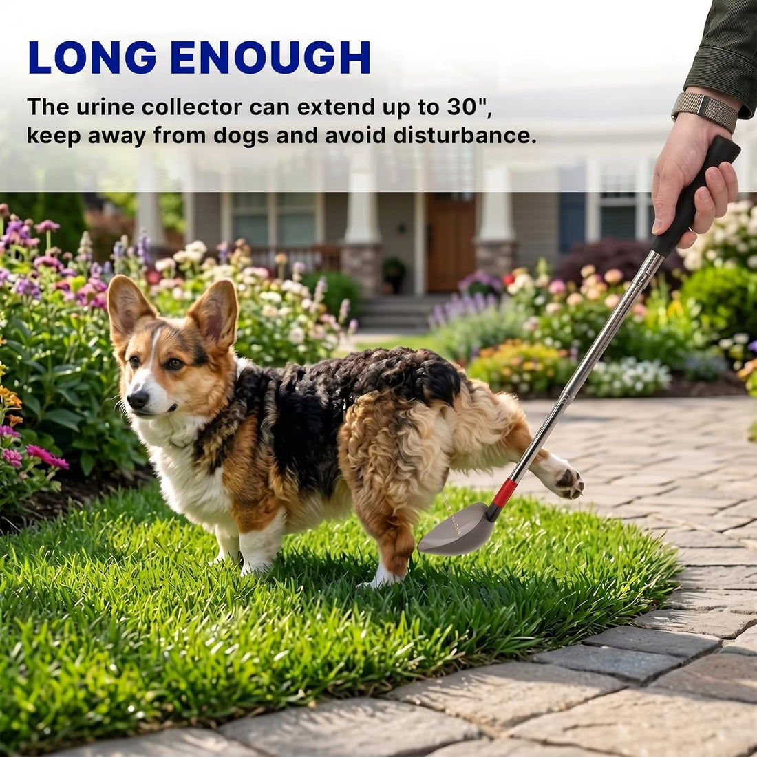 Telescopic Urine Collector for Dogs & Cats