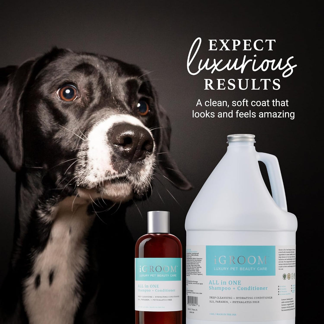 iGroom All-in-One Dog Shampoo + Conditioner, Luxury Pet Beauty Care