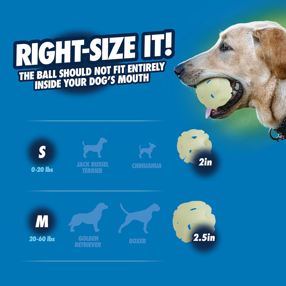 Chuckit! Air Glow Fetch Ball Dog Toy, Medium 2.5in