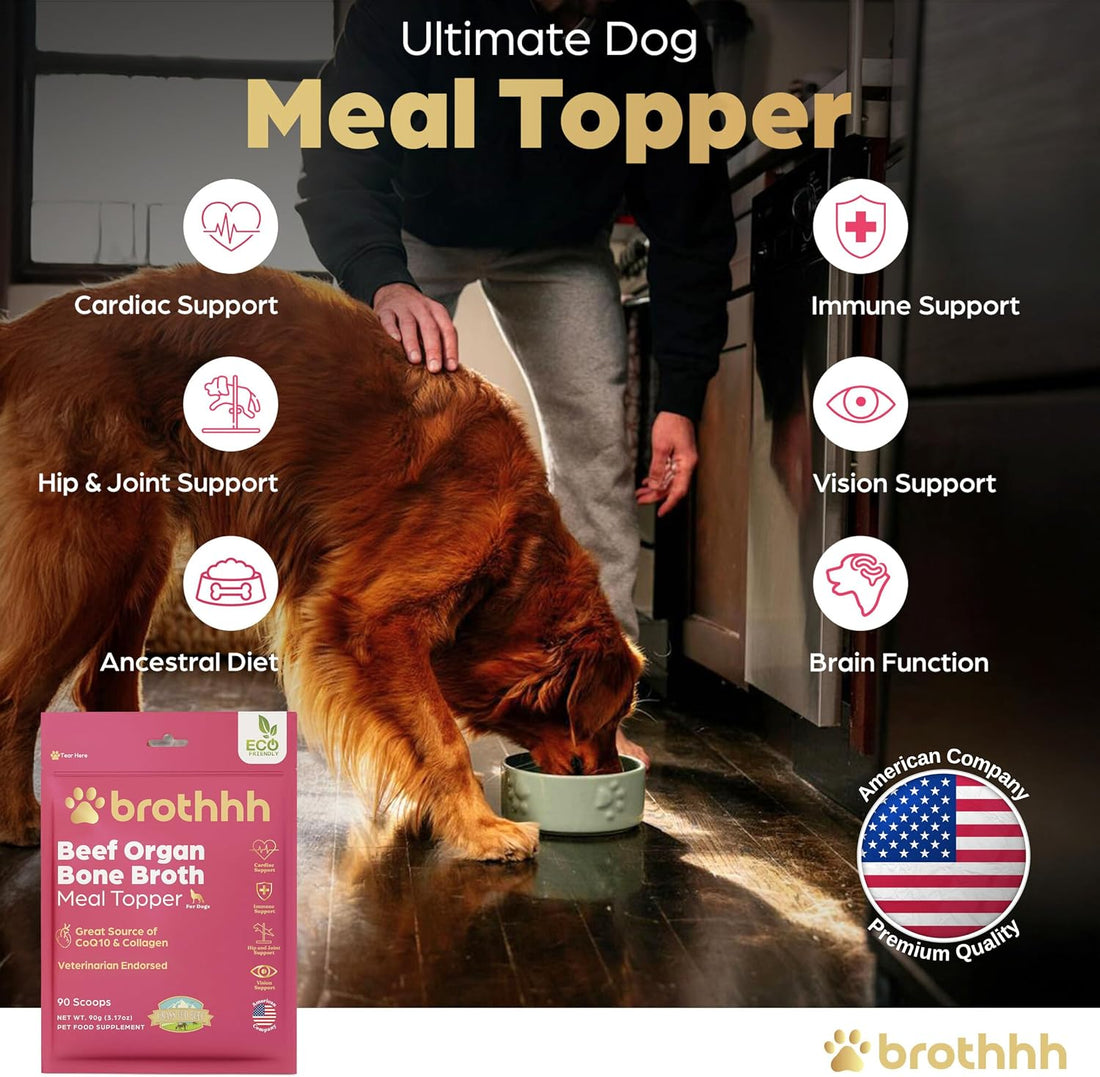 Beef Organ Bone Broth Meal Topper for Dogs - 100% Grass Fed