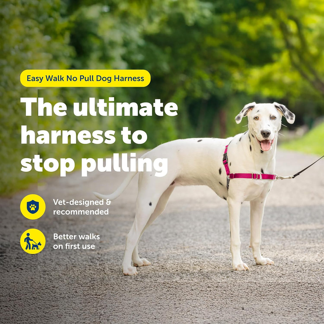 PetSafe Easy Walk Harness, No Pull Dog Harness, Raspberry