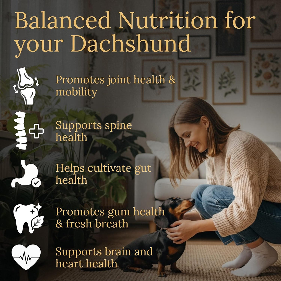 Multivitamins, Balanced Nutrition for Dachshund, 90 Count