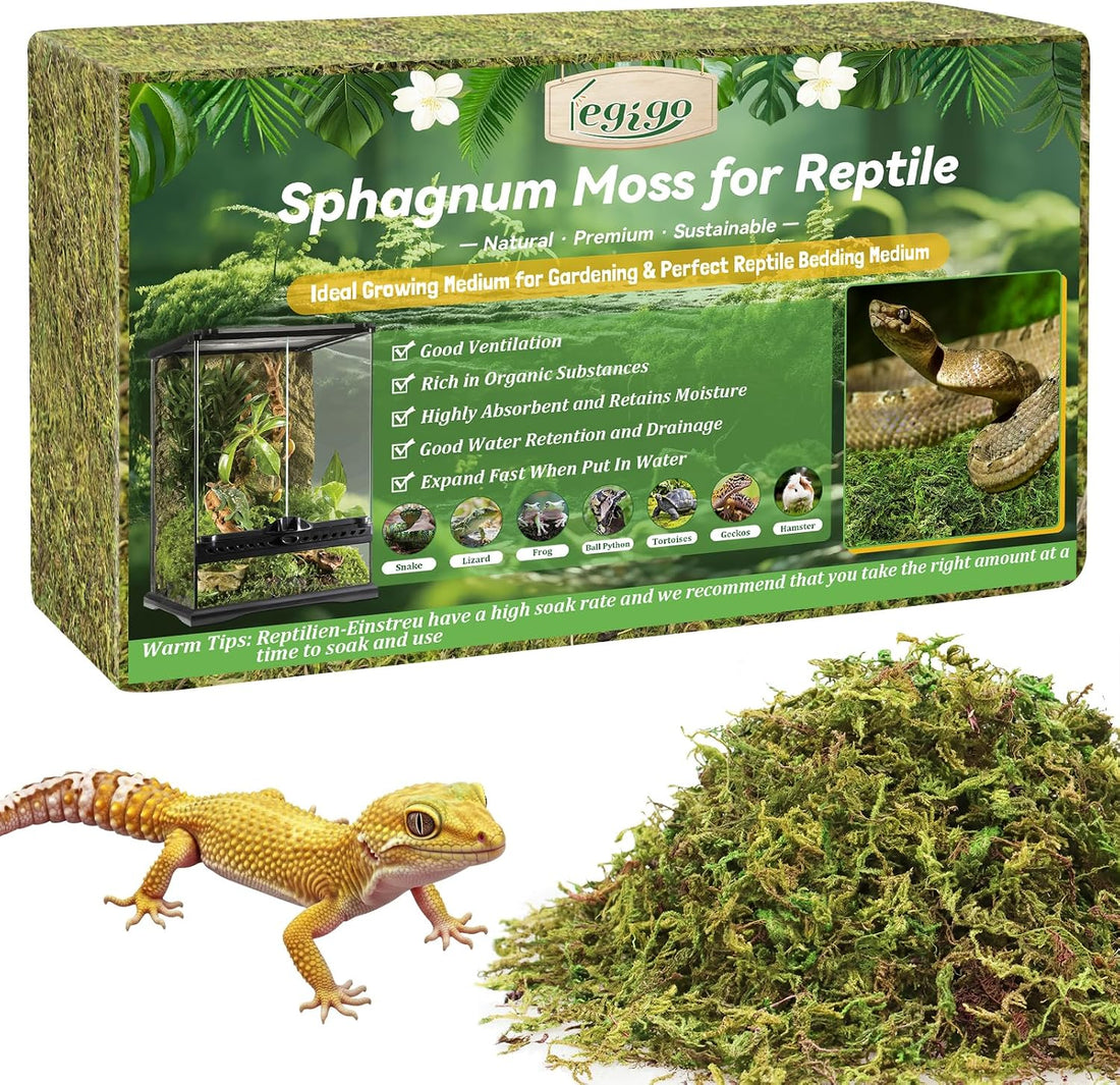 Legigo 14OZ Natural Sphagnum Moss for Reptile Terrarium Substrate