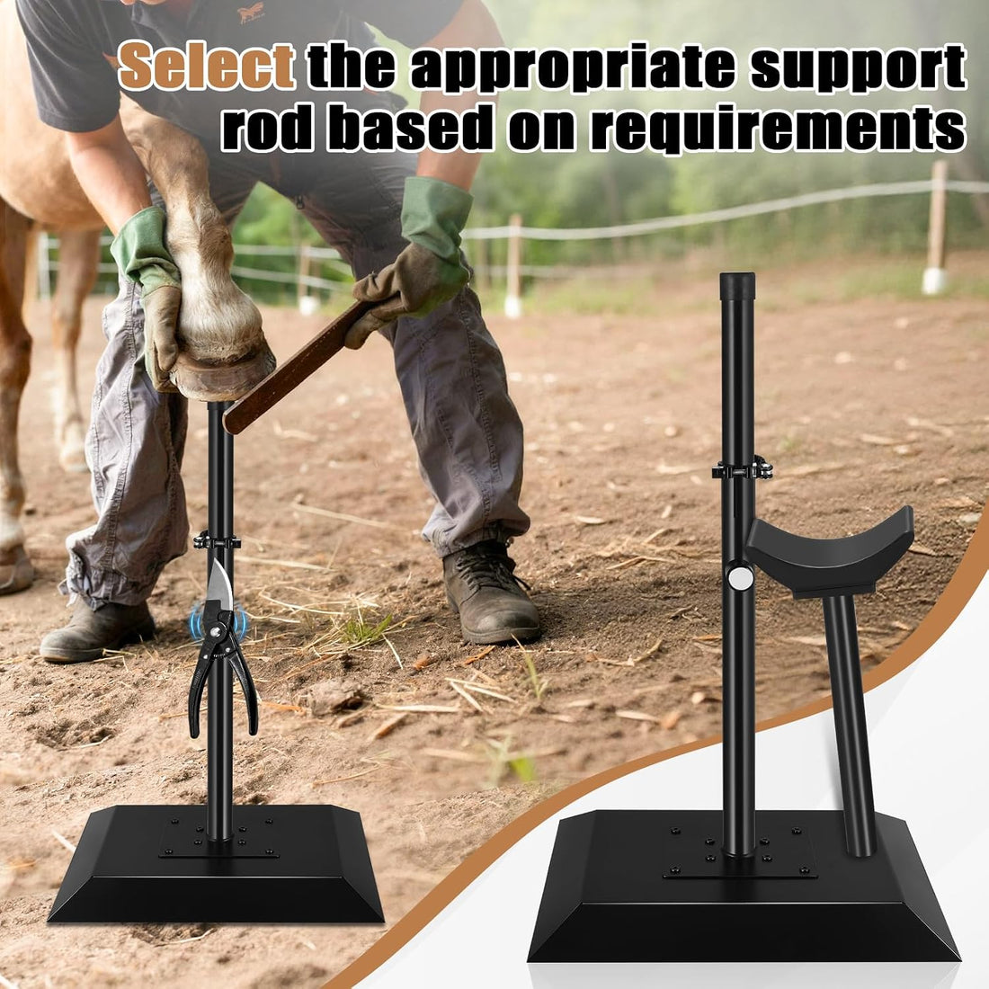 CAROD Professional Farrier Tool-Height Adjustable Metal Hoof Stand