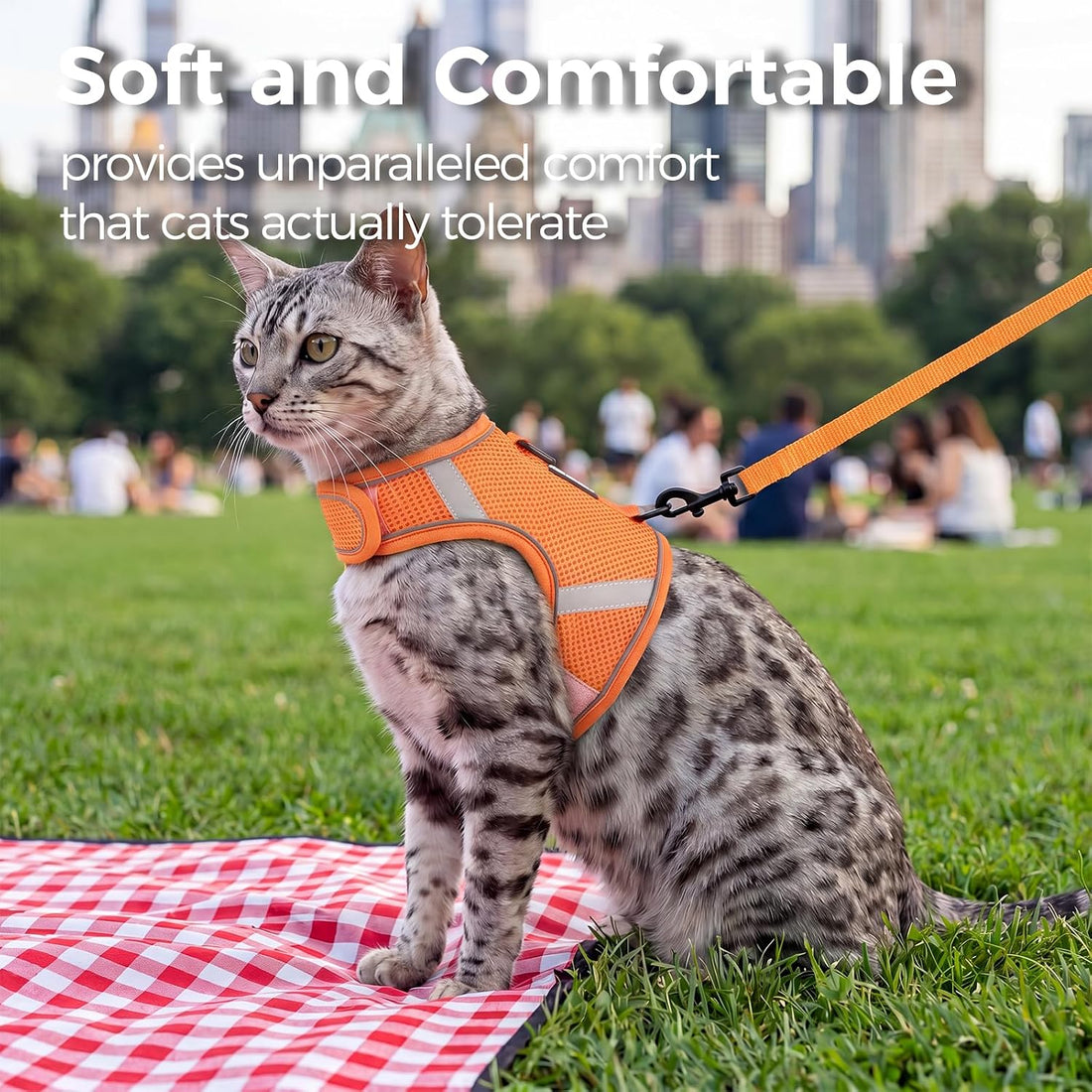 Cat Harness and Leash Set, No Over-the-Head Cat Vest, Orange, M