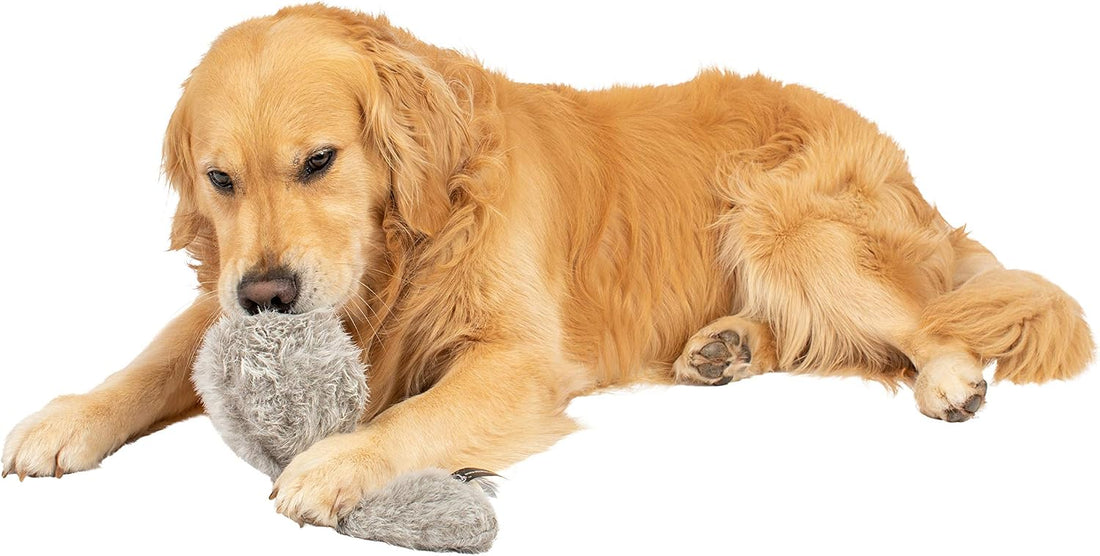 Hyper Pet Doggie Tail Interactive Plush Automatic Dog Toy, Wiggles