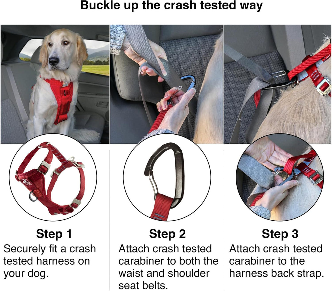 Kurgo Tru-Fit Enhanced Strength Dog Car Harness