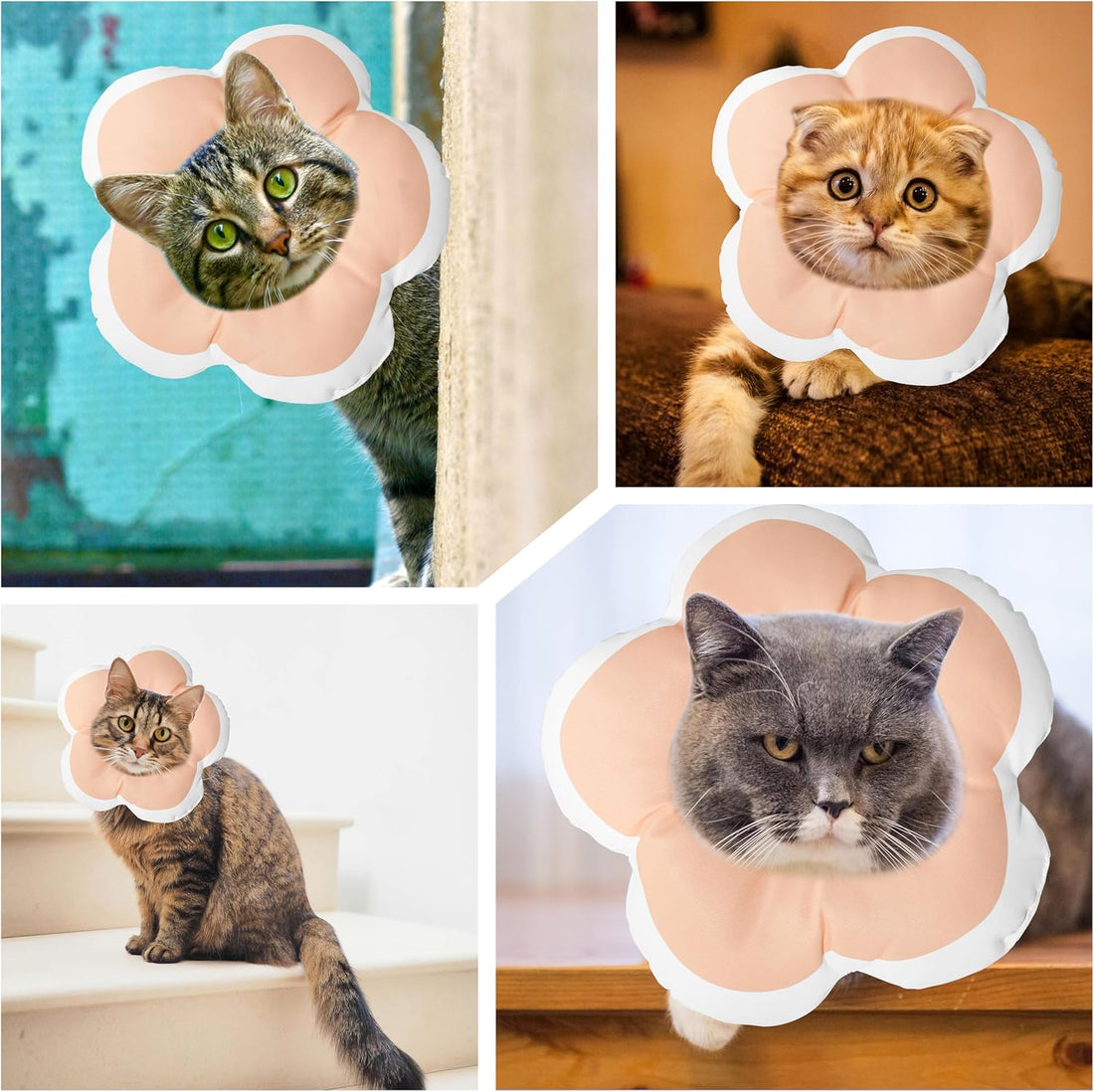Cat Cone Collar Soft, Floral Recovery Cone