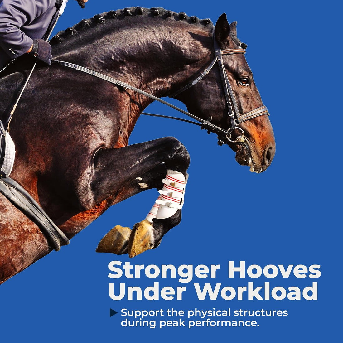 AniMed Biotin 100 Daily Horse Hoof Supplement & Equine Hair Growth
