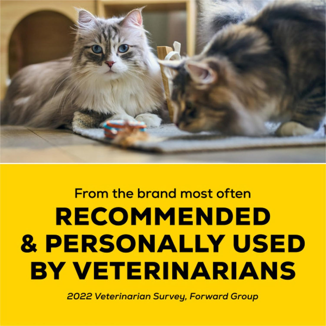 Purina Tidy Cats Performance Plus Feet Unscented Low Tracking