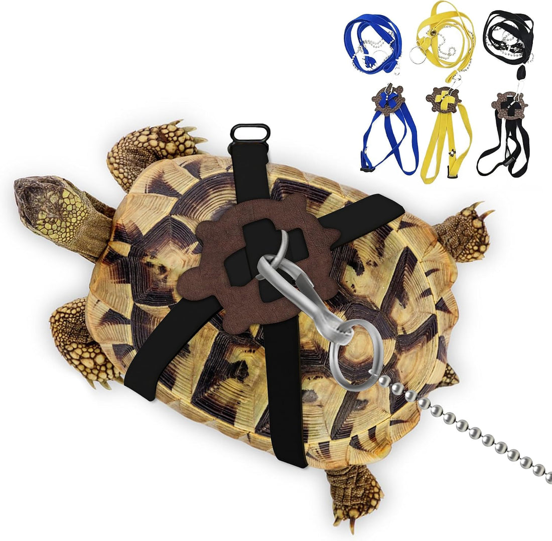 Pet Tortoise Leather Harness & Leash - Small Tortoise Supplies