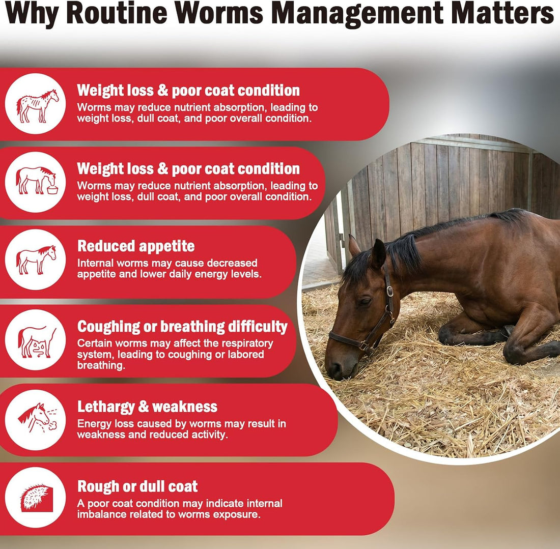 Dewormer, Liquid Formula, for Roundworms, Pinworms, and Others