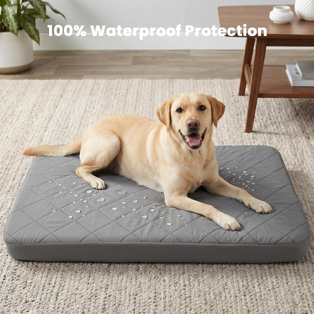 Waterproof Dog Bed Cover Replacement - XXL (54"x44")
