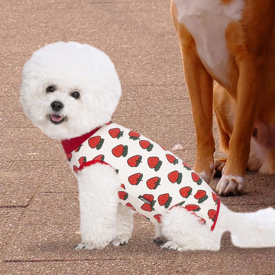 Miaododo 2 Packs Pet Dog Recovery Onesie Suit for Dogs Cats After