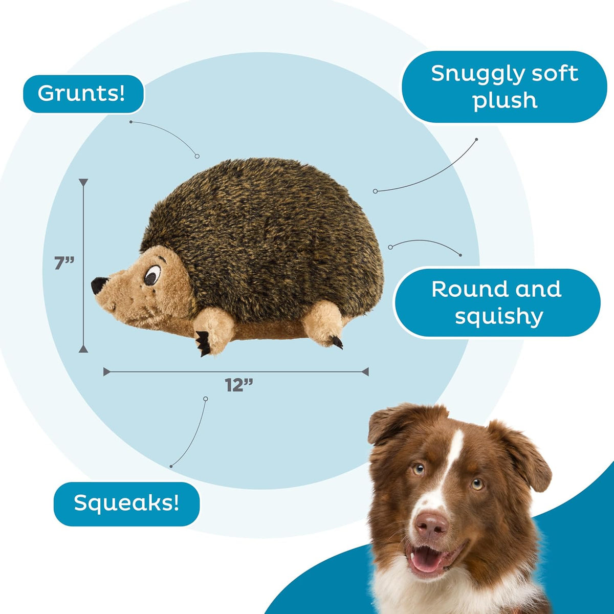Outward Hound Hedgehogz Plush Dog Toy, Squeaks & Grunts, Large