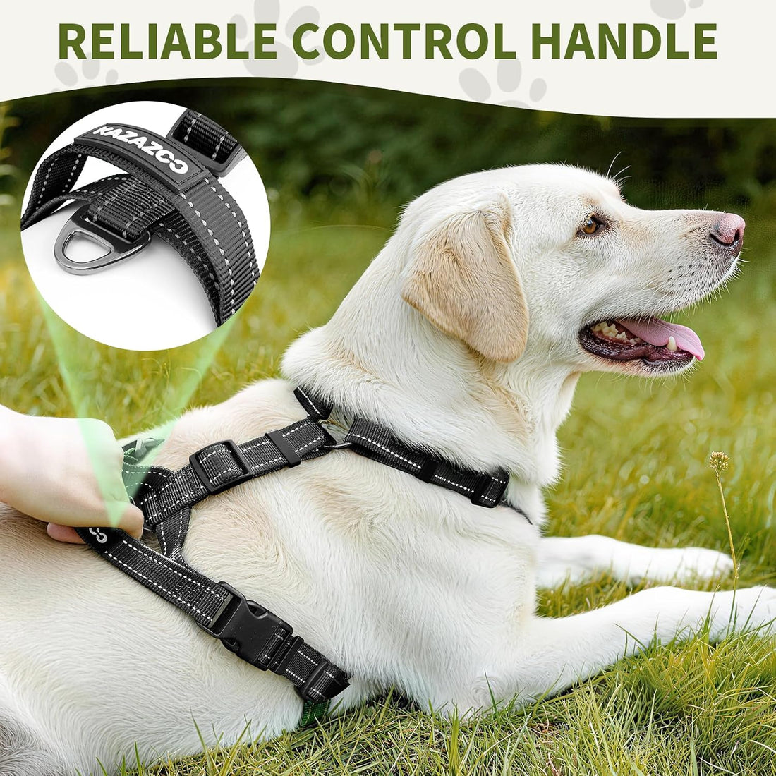 Dog Harness,Adjustable No Pull Dog Harness,Y-Shaped Design