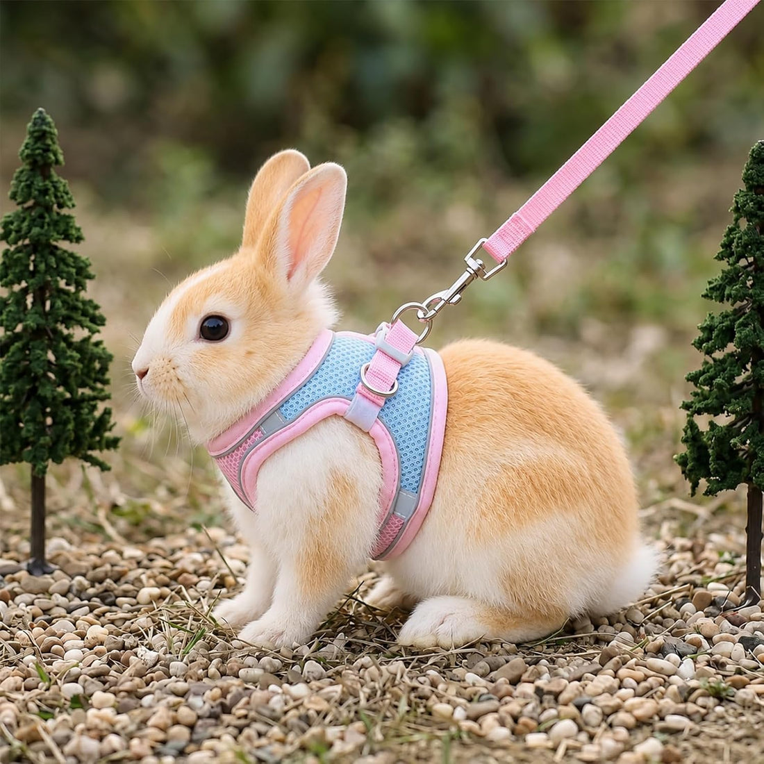 cobee Adjustable Bunny Harness and Leash Set