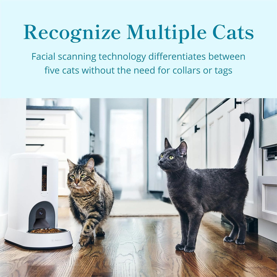 Petivity Smart Feeder for Cats App-Controlled, Multi-Cat Tracking