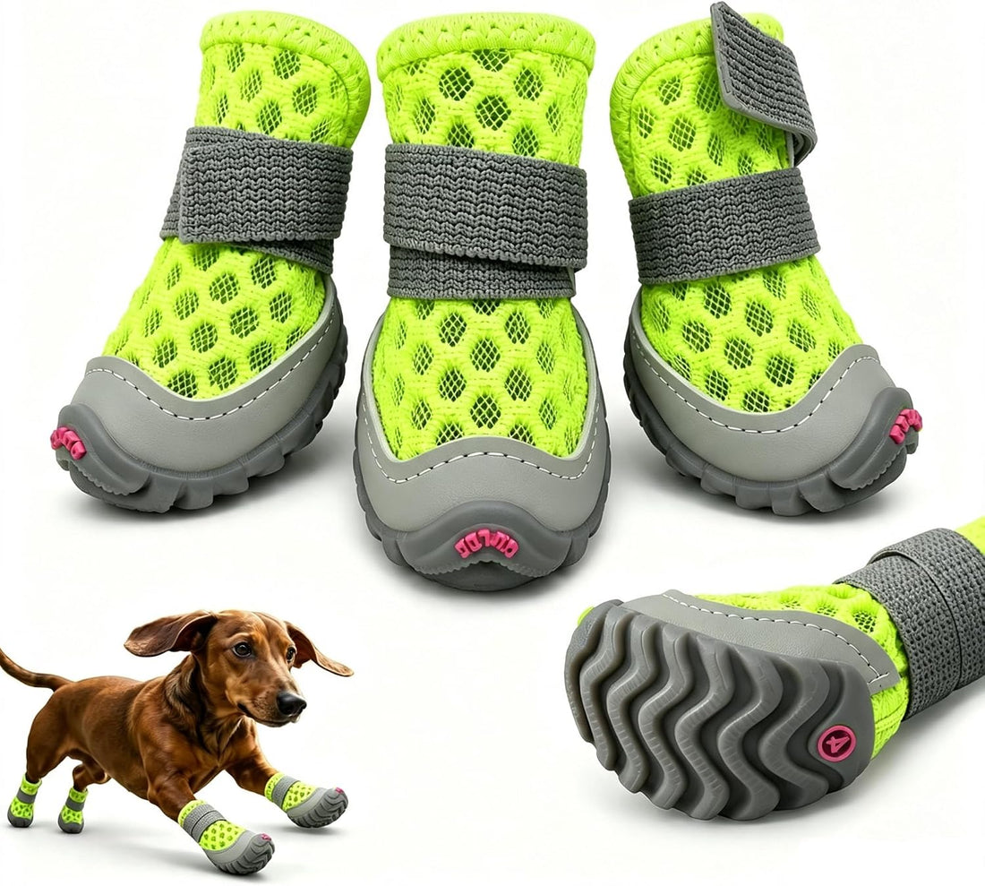 Dog Shoes for Small Dogs, Puppy Boots for Hot Pavement, Blue Size 3