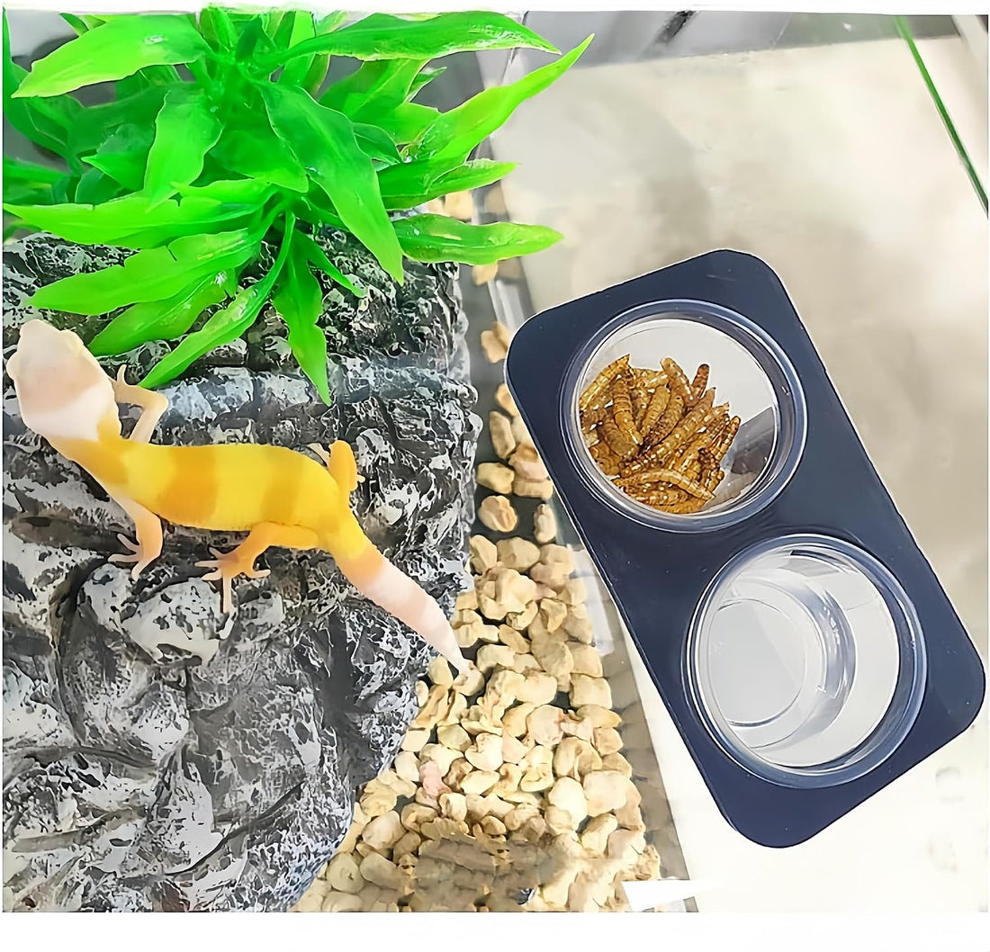 Lizard Crested Gecko Food Water Feeding Cups, 100 pcs, 0.5oz