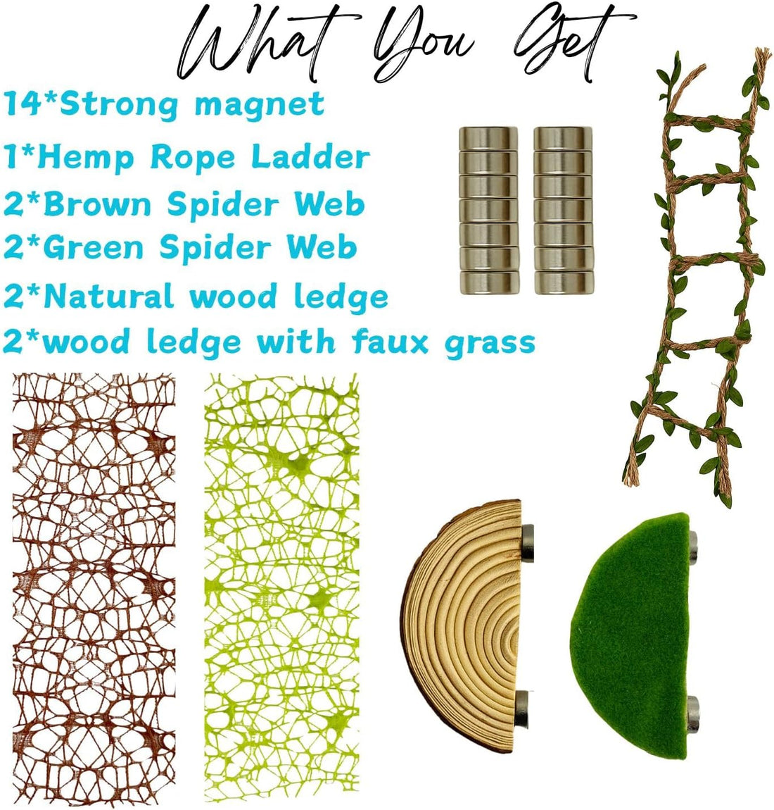 Jumping Spider Enclosure Accessories - 2 Wood Ledges & 4 Climbing Webs