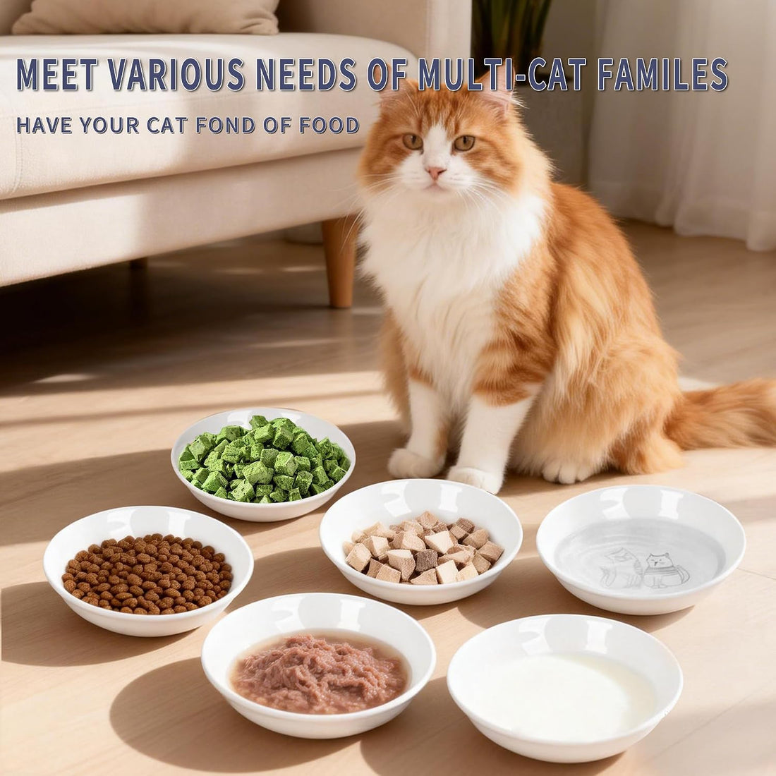 Non-Slip Cat Food Bowls, 6 Pack Whisker-Friendly Ceramic Bowls