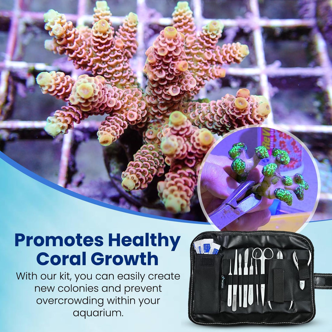 Premium Coral Fragging Kit - Complete Coral Propagation and Fragging