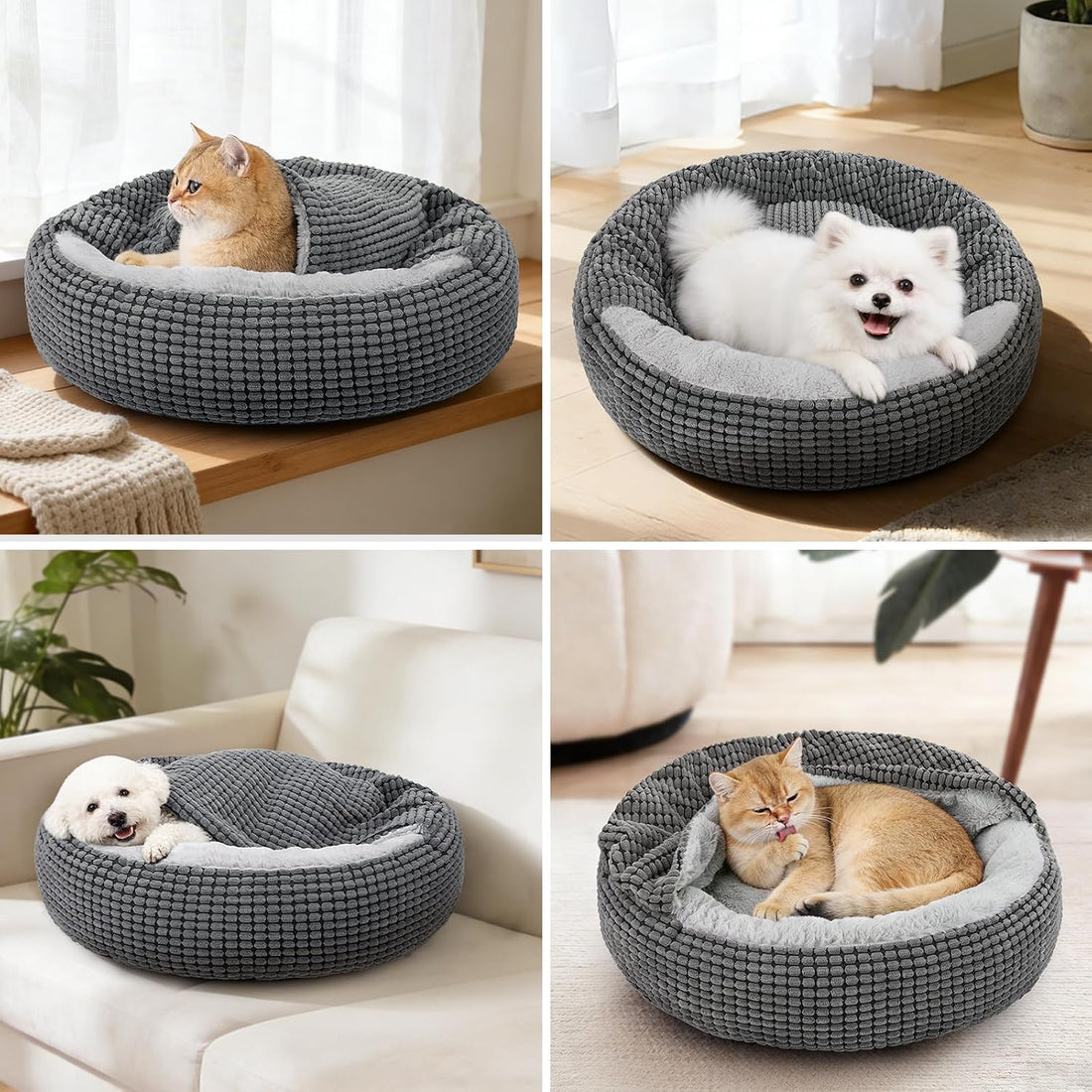 Small Dog Bed with Attached Blanket