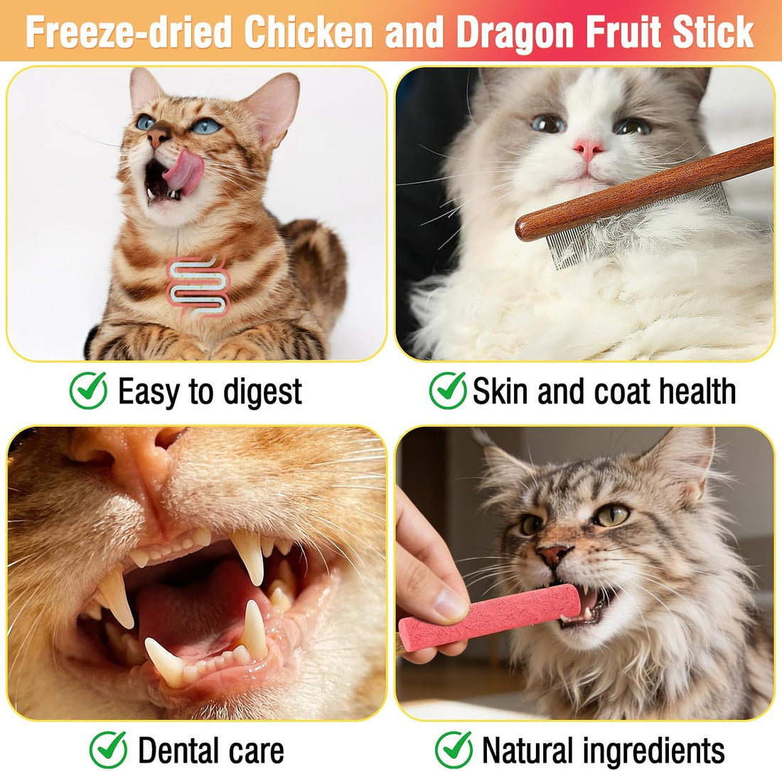 Packsy 100g/3.52oz Freeze-Dried Chicken & Dragon Fruit Sticks