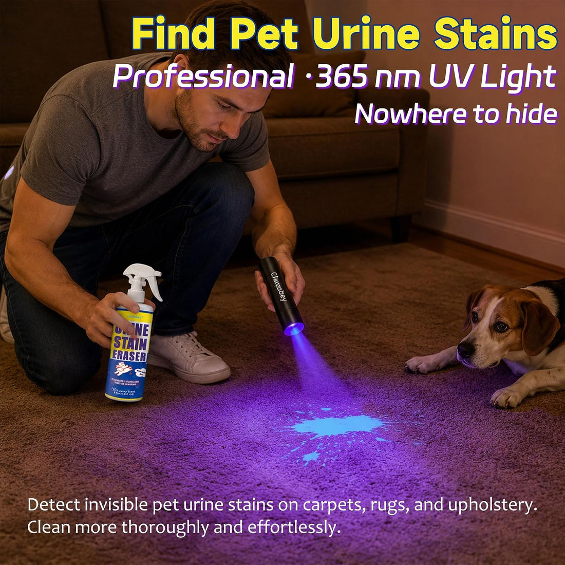Stain & Odor Remover with UV Light Flashlight, 5.75 fl oz