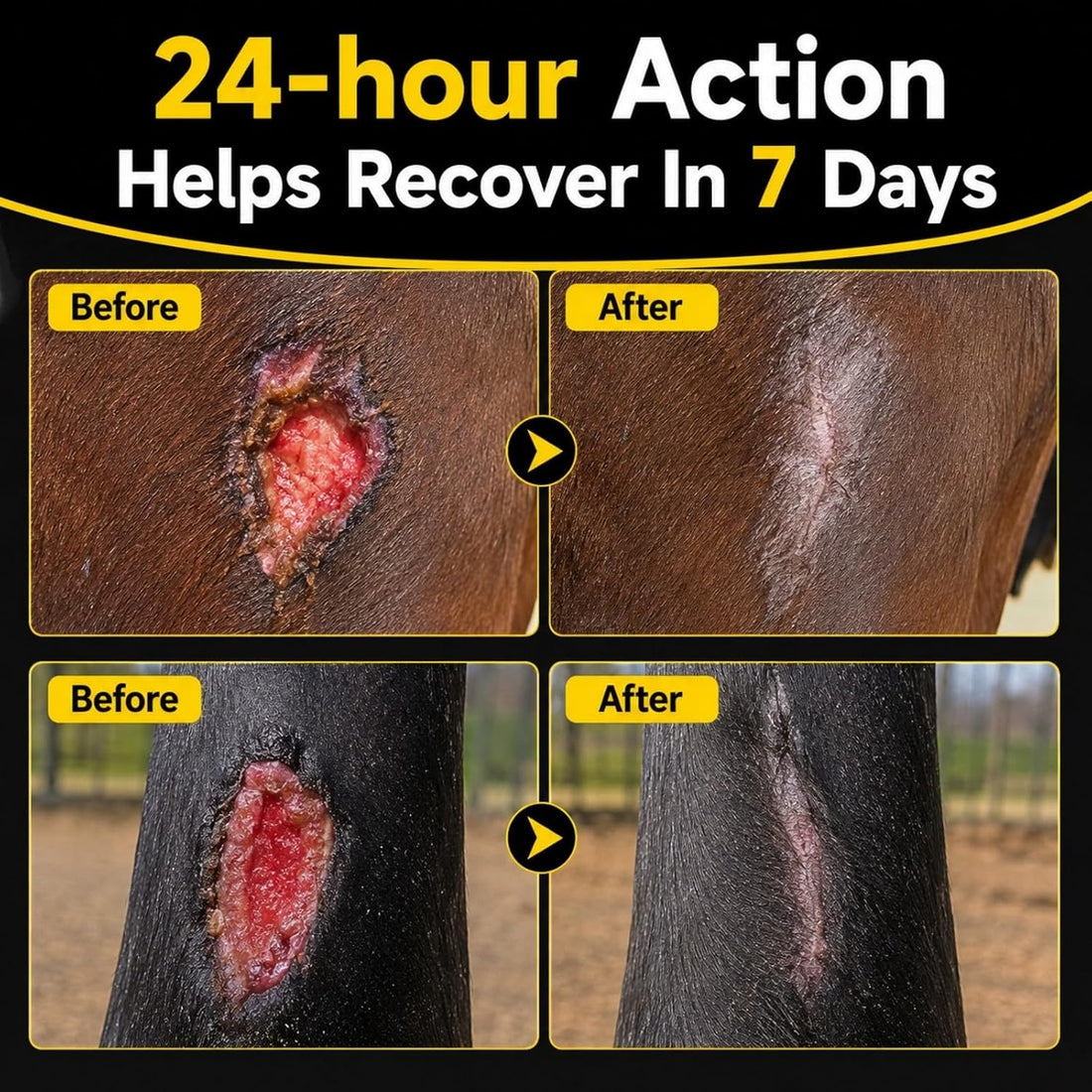 Nitrofurazone for Horses, for Infections of Wounds, Burns & Ulcers