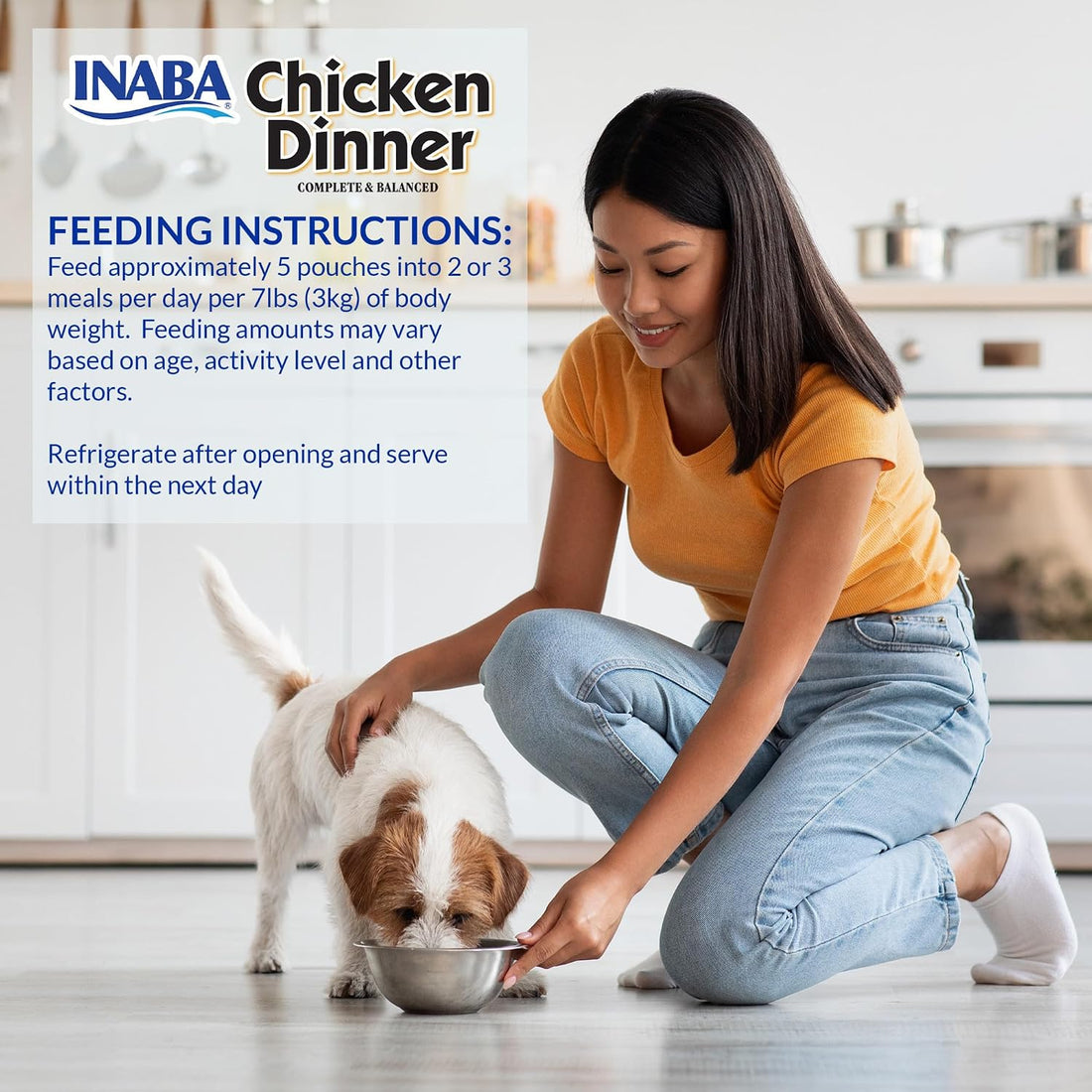 INABA Chicken Dinner for Dogs, Soft Pate Wet Dog Food