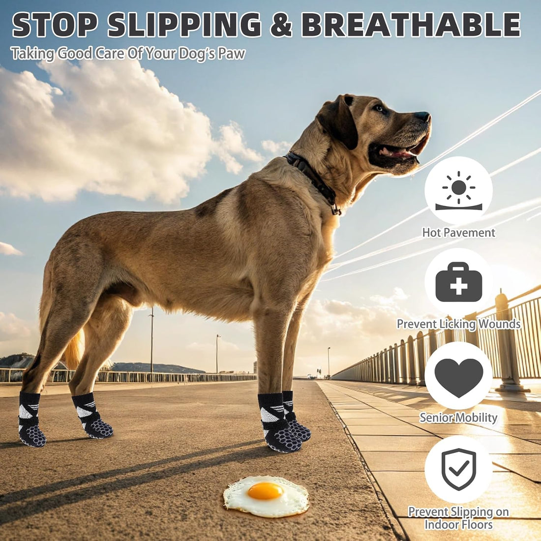 KOOLTAIL Dog Socks Shoes for Hot Pavement