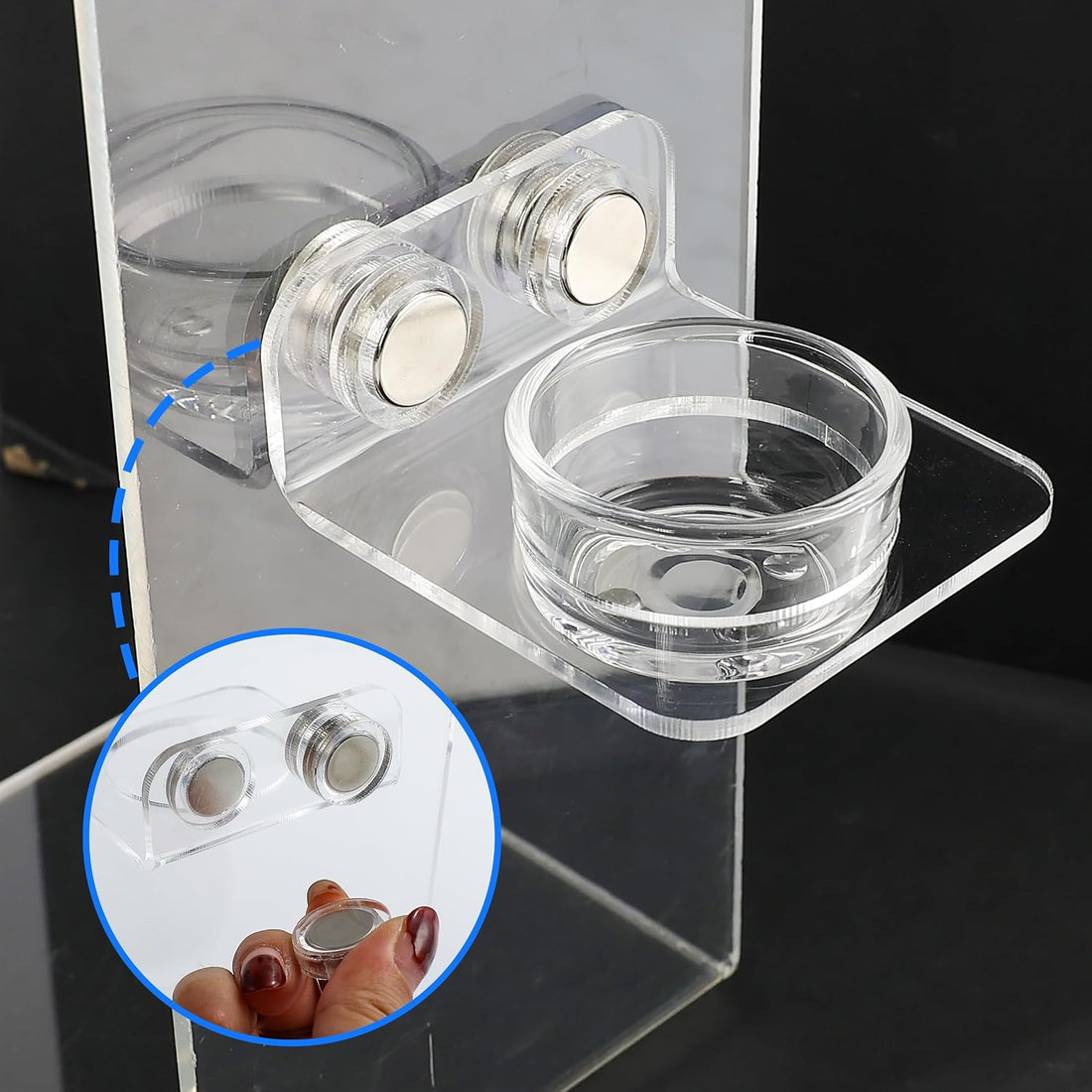Magnetic Reptile Ledge - Acrylic Feeding Platform for Geckos & Spiders