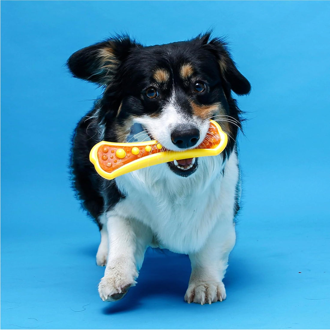 Hartz Chew 'n Clean Dental Duo Dog Treat & Chew Toy, Color Varies