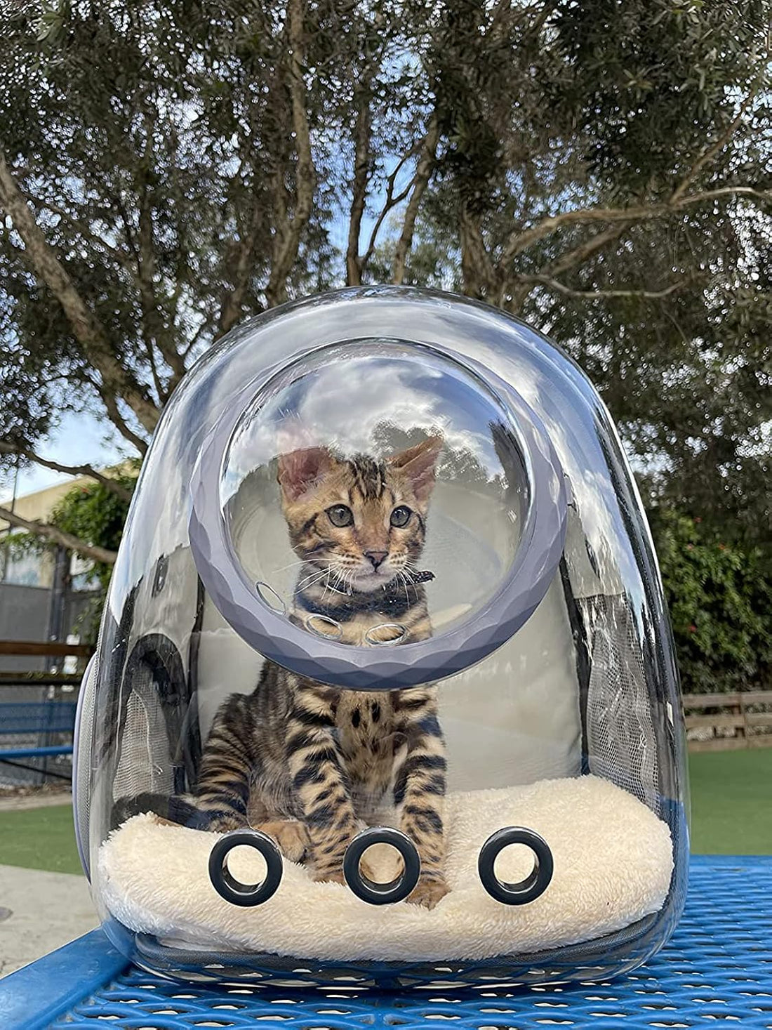 Bubble Cat Carrier Backpack Transparent Pet Carrier Backpack
