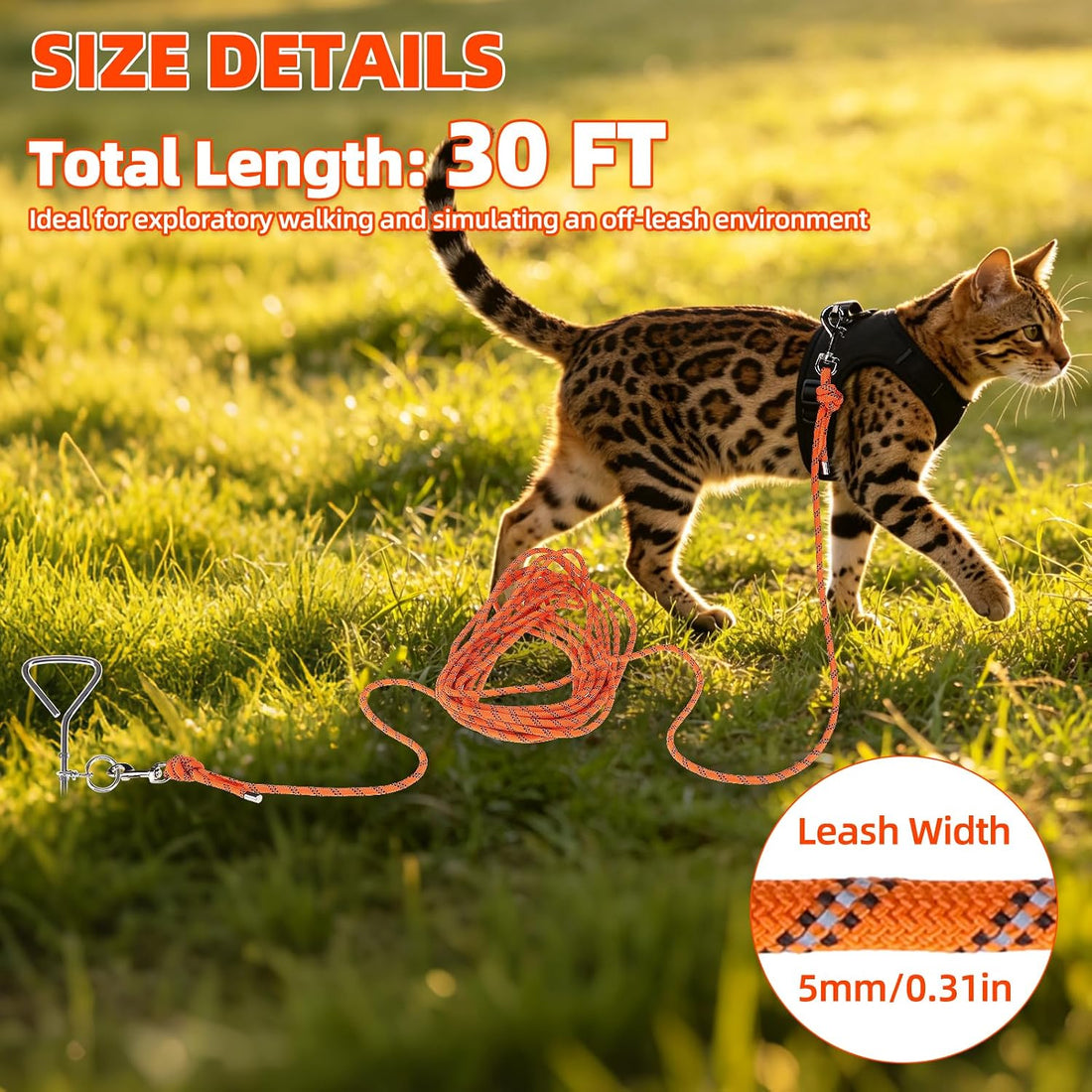 PUPTECK Reflective Long Cat Leash Pet Tie Out Spiral Stake